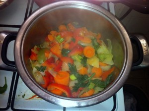 מתכון קל לירקות מבושלים, צולם במטבח הביתי.